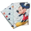 Trapunta Primaverile Per Lettino/Culla 100x140cm Disney